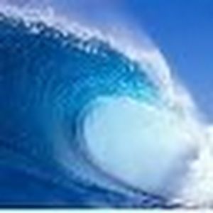 Meet your Posher, Anat inna